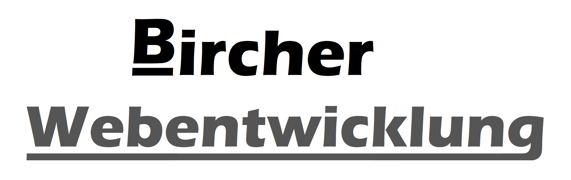 Bircher Webentwicklung, Link Homepage